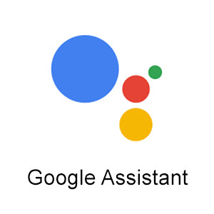 Google-Assistant