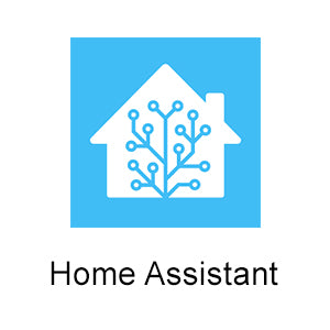 Home_-Assistant